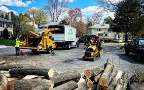 Best Weed Control  in Spring Park, MN