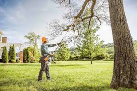 Best Seasonal Cleanup (Spring/Fall)  in Spring Park, MN